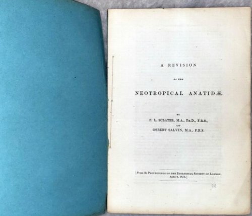 A Revision of the Neotropical Anatidae