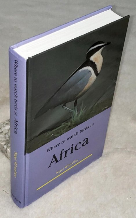 Where to Watch Birds in Africa