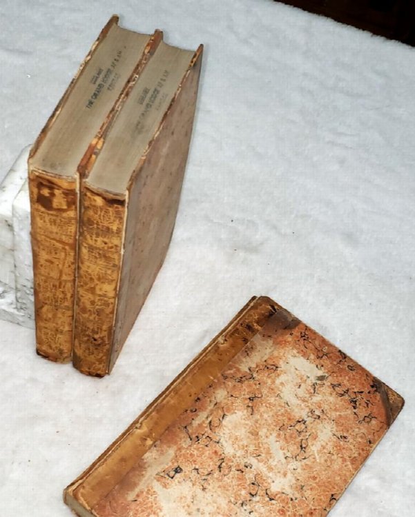 The Protector; A Periodical Paper, Originally Published In Monthly Numbers, From January 1802 to November 1809 (Three Volumes)