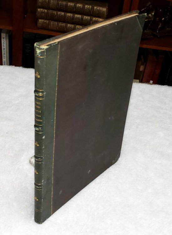 Image for Oratio Dominica Polyglotta Singularum Linguarum Characteribus Expressa et Delineationibus Albert Dureri Oratio Dominica Polyglotta Singularum Linguarum Characteribus Expressa et Delineationibus Albert Dureri