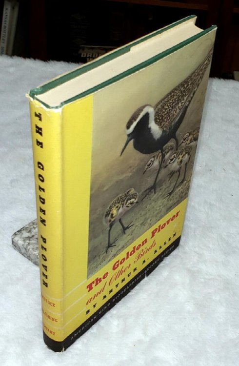 The Golden Plover and Other Birds