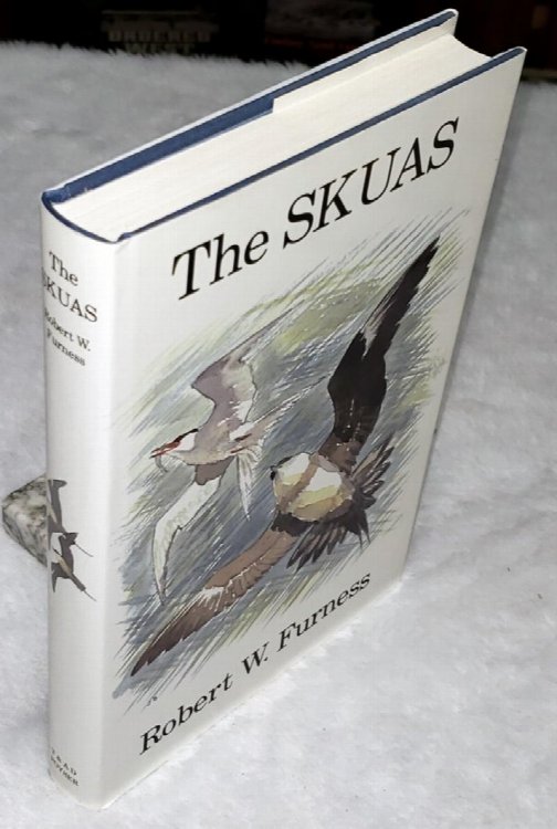 The Skuas