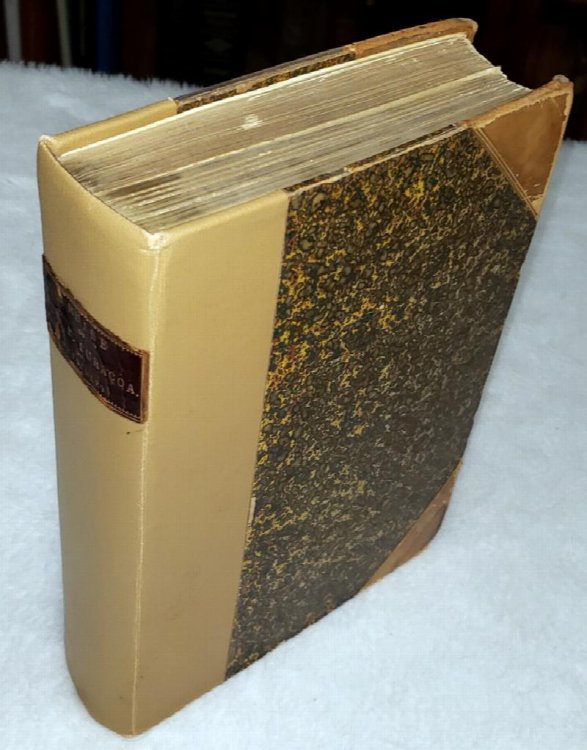 Jottings During the Cruise of H.M.S Curacoa Among the South Sea Islands in 1865