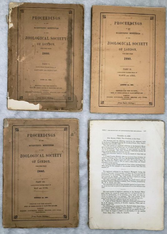 Proceedings of the Scientific Meetings of the Zoological Society of London for the Year 1880 (Complete in Four Parts)