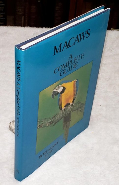 Macaws: A Complete Guide