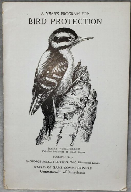 A Year's Program for Bird Protection (Bulletin No. 7 of the Board of Game Commissioners)