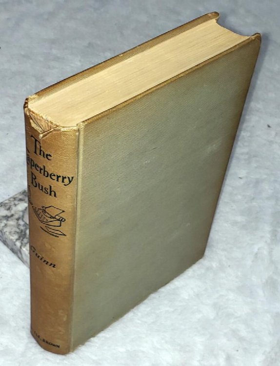 The Caperberry Bush