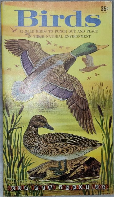 Birds: 12 Wild Birds to Punch Out and Place in Their Natural Environment
