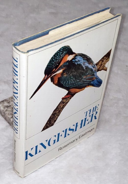 The Kingfisher