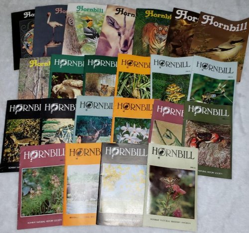 Incomplete run of 23 Issues of 