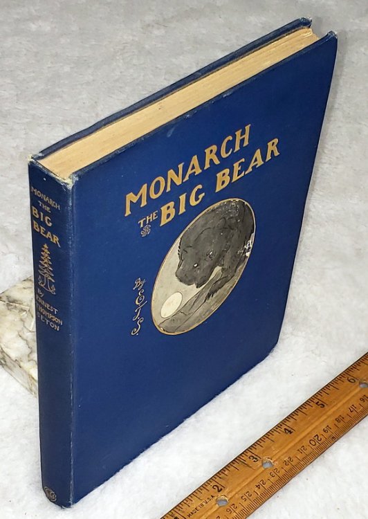 Monarch, The Big Bear of Tallac