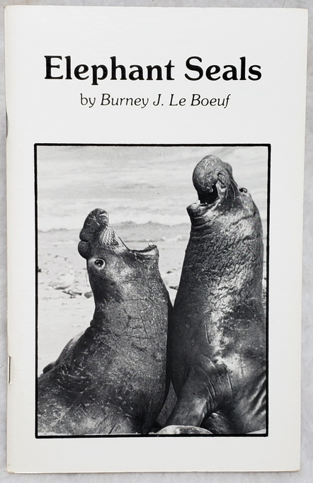 Elephant Seals