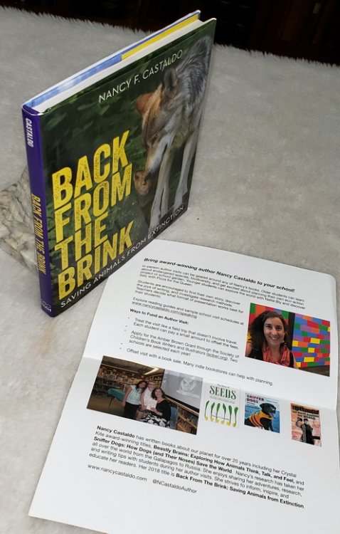 Back from the Brink