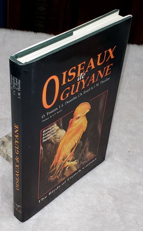 Oiseaux De Guyane