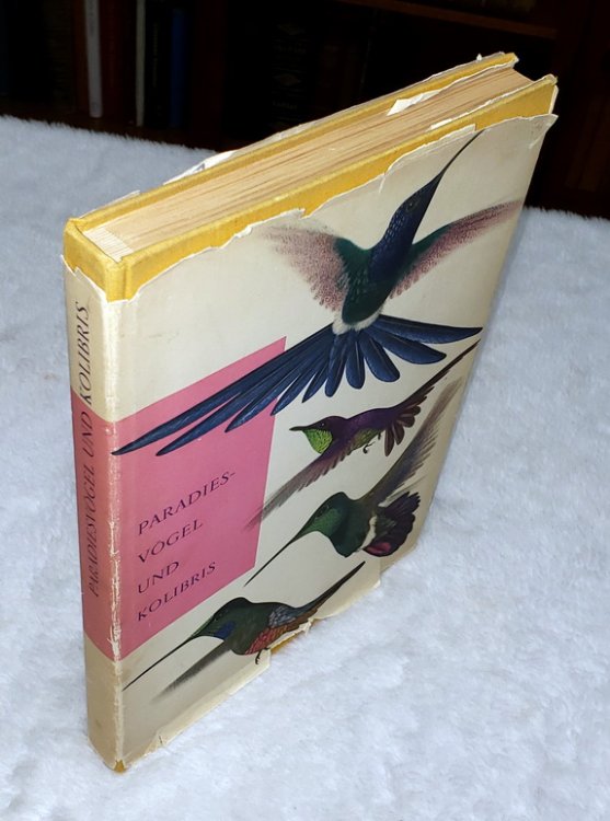 Paradiesvogel Und Kolibris: Bilder Aus Dem Leben Der Tropenvogel