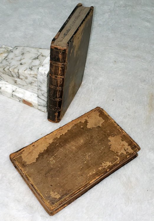 The History of a Young Lady of Distinction In a Series of Letters (Two Volumes)