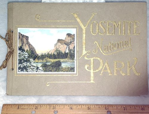 Yosemite National Park: A Region replete with Majestic Domes, Titanic Chasms, Alluring Water Fall, and the Earth's Oldest and Tallest Tree.