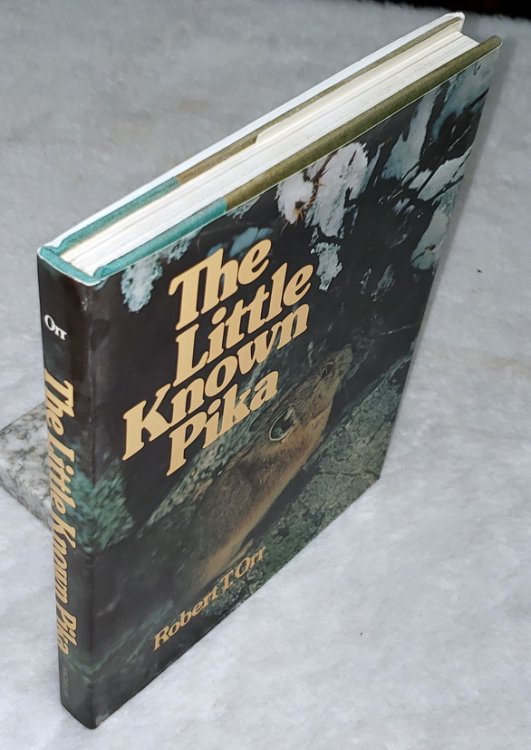 The Little-Known Pika