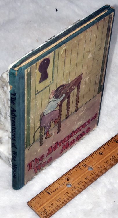 The Adventures of Wee Mouse: A Picture Story-Book for Children
