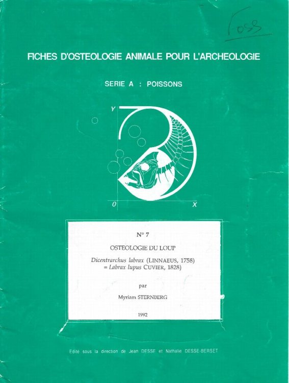 Fiches d'osteologie animale pour l'archeologie. Serie A: Poissons. No. 7: Osteologie du loup. Dicentrarchus labrax (Linnaeus, 175 Labrax lupus Cuvier, 1828)