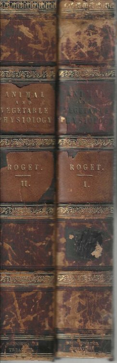 Animal And Vegetable Physiology: considered with reference to natural theology. [2 volume set]