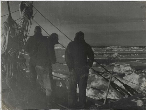 Silver gelatin photo the 