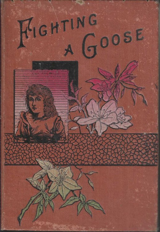 Fighting a Goose and Other Stories