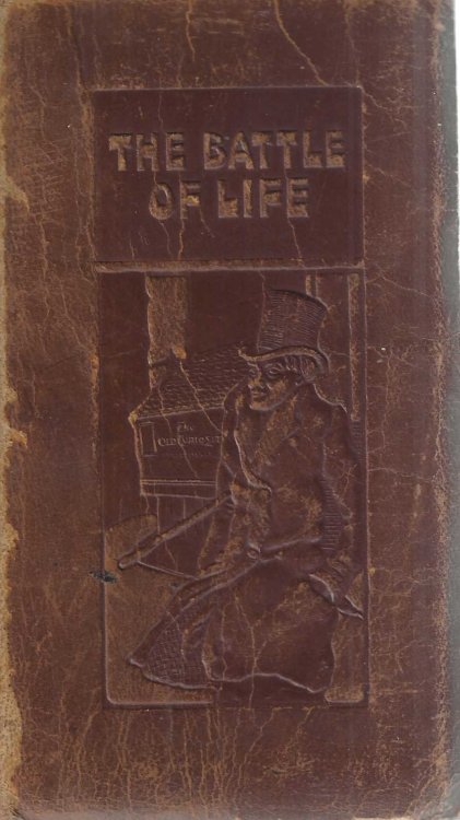 The Battle of Life: A Love Story