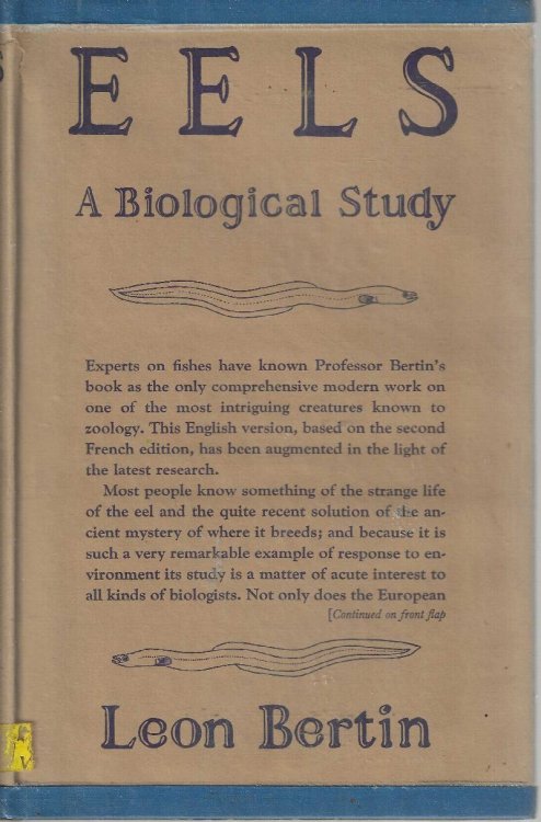 Eels A Biological Study
