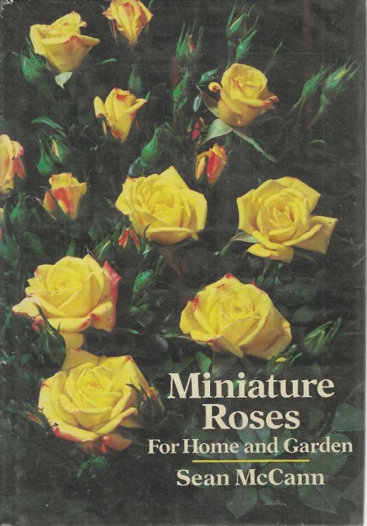 Miniature Roses for Home and Garden