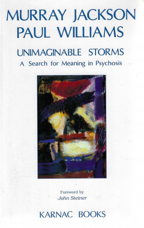 Unimaginable Storms: A Search for Meaning in Psychosis.