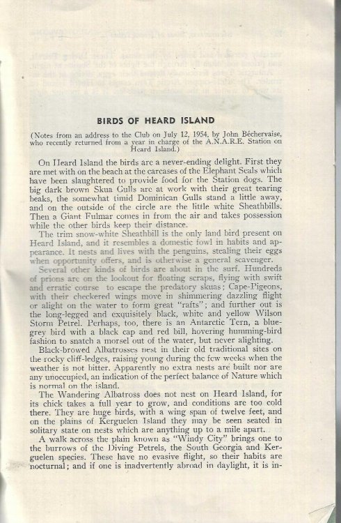 Birds of Heard Island, Offprint from The Victorian Naturalist Vol 71, September 1954