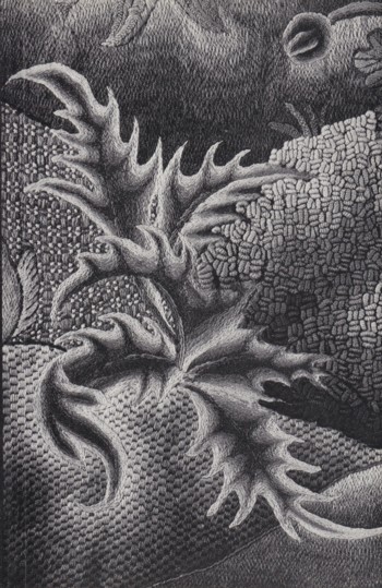 Embroideries from the Permanent Collection