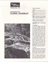(Pattern) Floral Quilt Coverlet Pattern