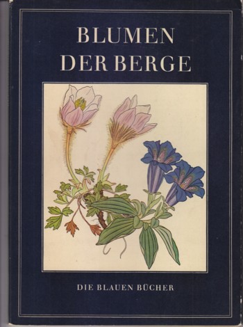 Blumen der Berge