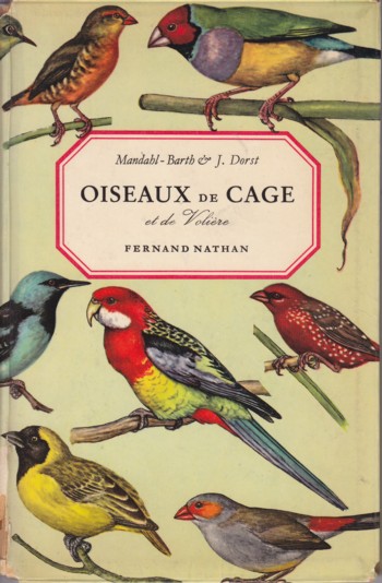 Oiseaux de cage de voliere (birds caged and in flight)