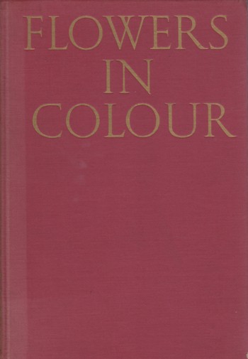 Flowers in Colour