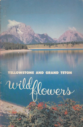 Yellostone and Grand Teton Wildflowers