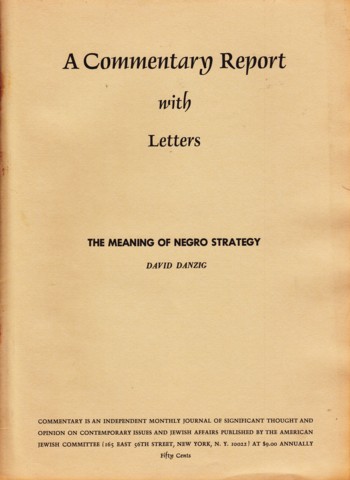 Meaning of Negro Strategy