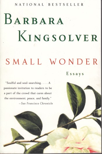 Small Wonder, essays