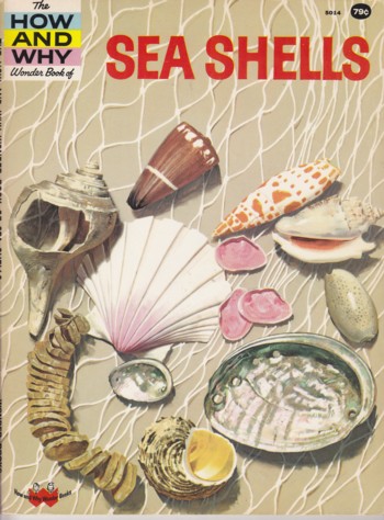 Sea Shells: the How and Why Wonder Book