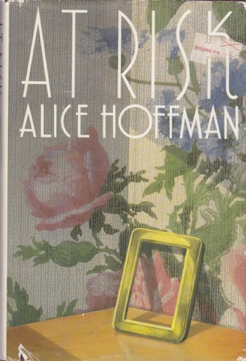 At Risk, a novel