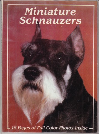 Miniature Schnauzers