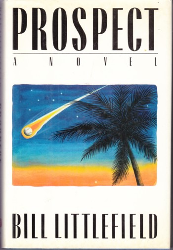 Prospect, a novel