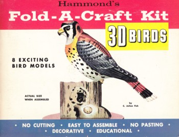Fold-A-Craft Kit: 3D Birds