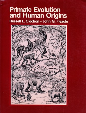 Primate Evolution and Human Origins