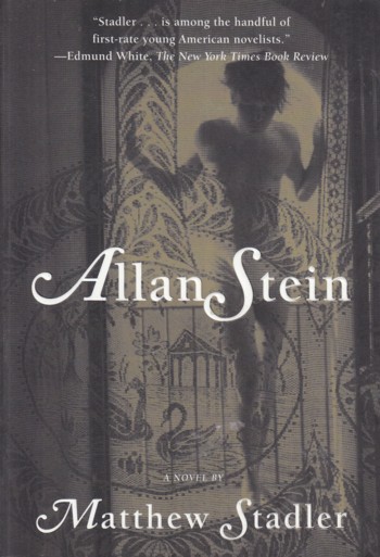 Allan Stein, a novel