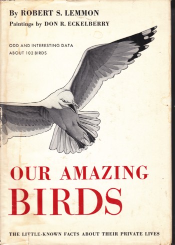 Our Amazing Birds: little-known facts about their private lives