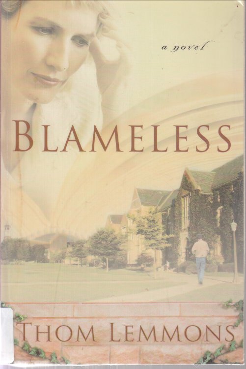 Blameless a novel
