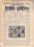American Gardening 1896 August 8